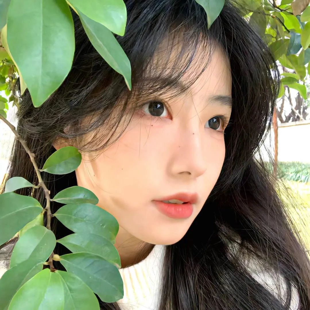 楚少归来